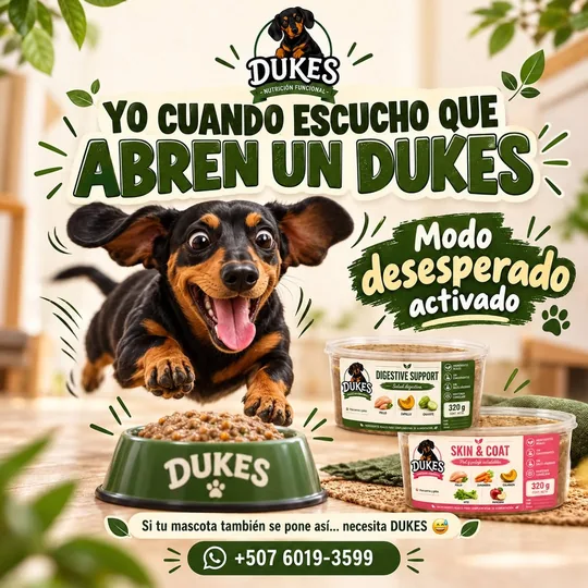 Post: «Yo cuando escucho que abren un DUKES», un perro salchicha corriendo hacia su plato